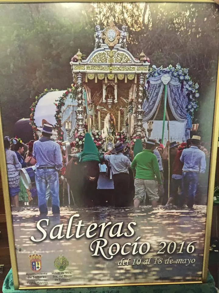 Salteras rocio 2016