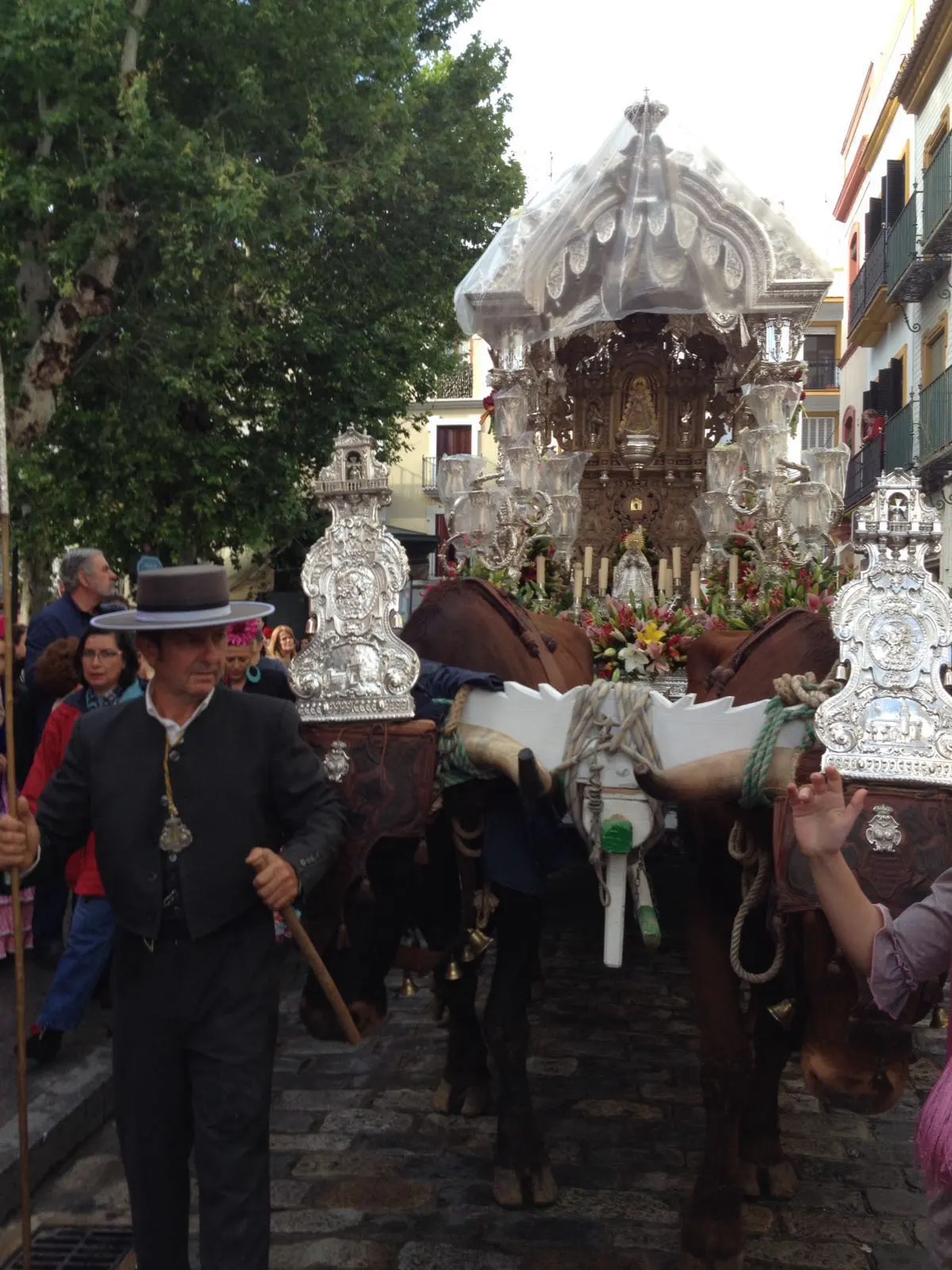 macarena rocio 2016 salida