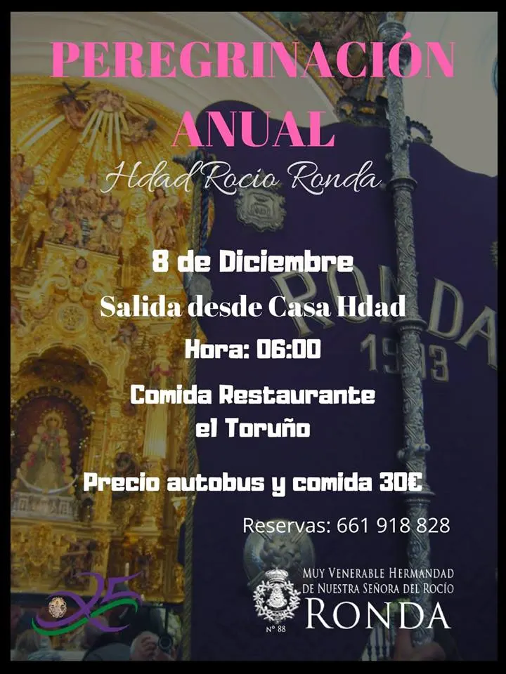 Ronda peregrinacion anual 2018