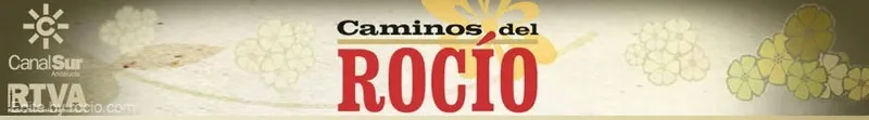 logorociocanalsur.jpg
