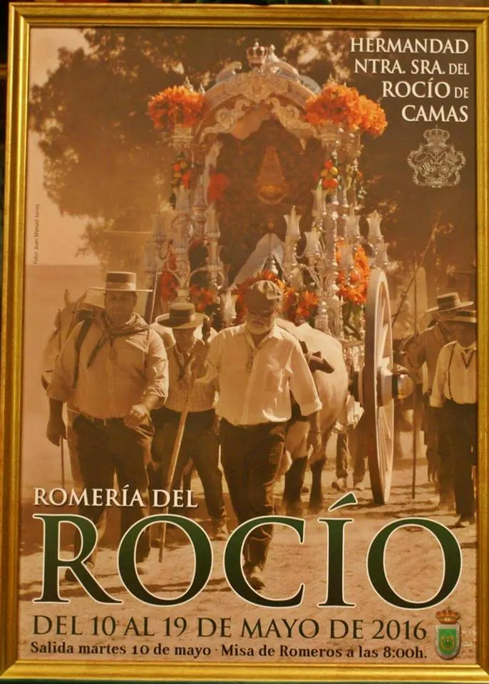 Camas cartel rocio 2016