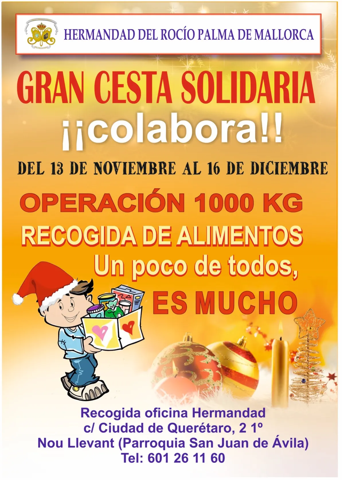Mallorca solidaria rocio