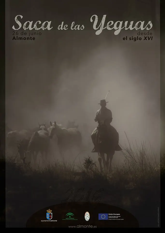 Saca yeguas 2016