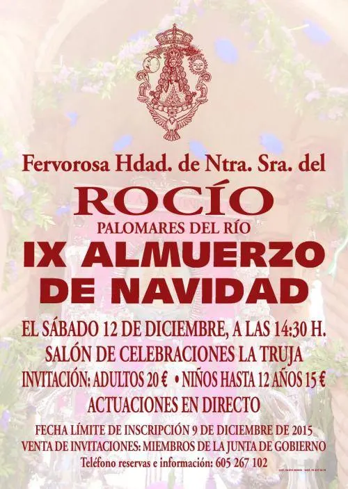 Palomares navidad 2015