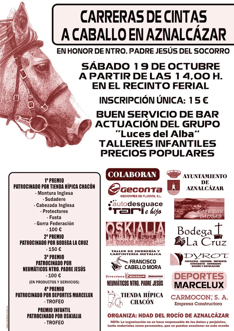4830-cartel-hdad-rocio-carrera-cintas.jpg