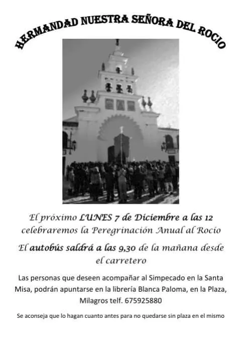 Paterna peregrinacion al rocio 2015