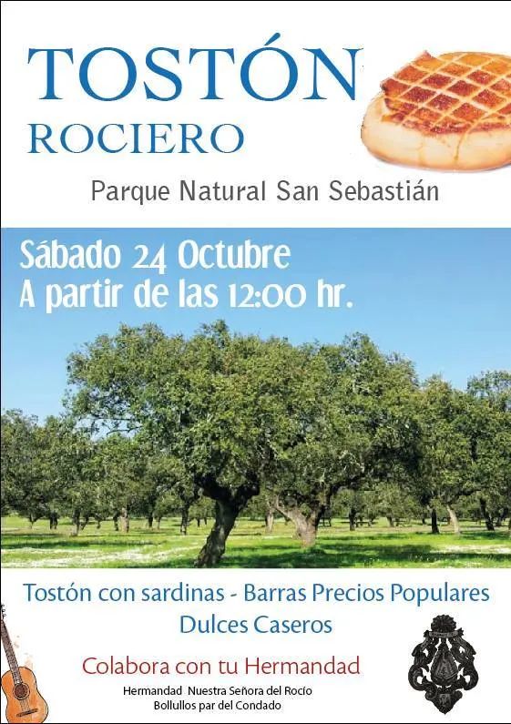 Bollullos del condado toston rociero 2015