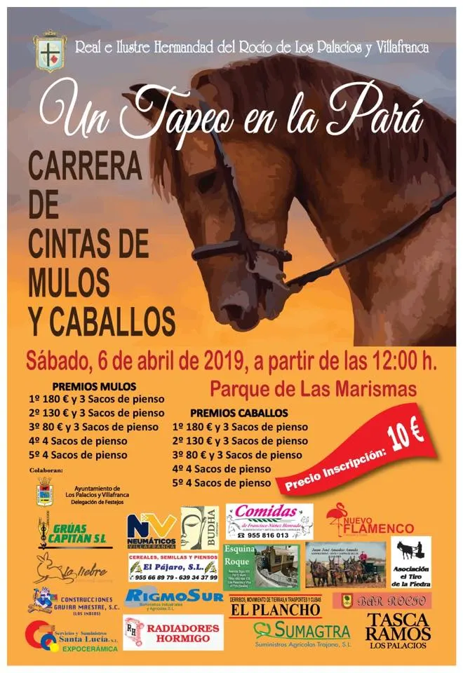 Los palacios rocio carrera de cintas