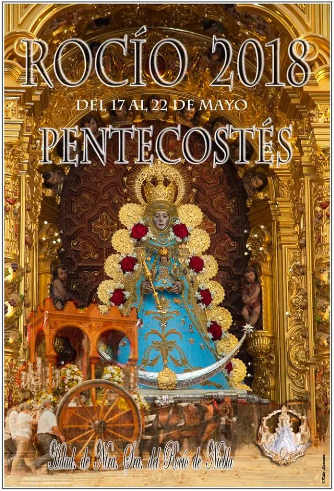 Niebla cartel rocio 2018
