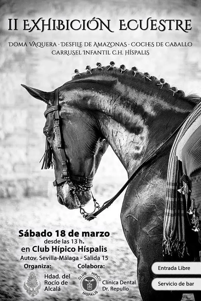Alcala Guadaira II ecuestre