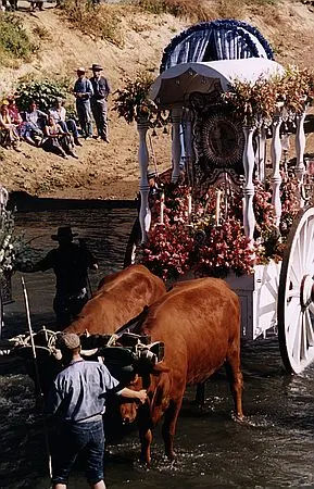 camino0004_std.jpg