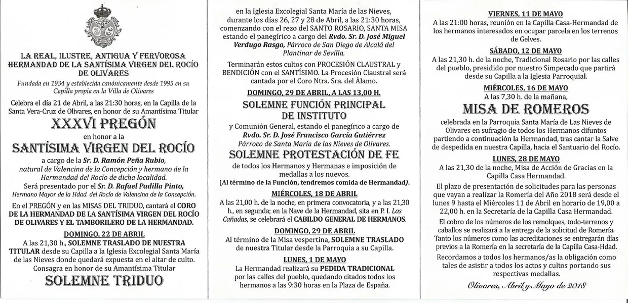 Olivares cultos rocio 2018