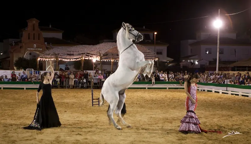 4809-espectaculo-ecuestre-para-en-gines.jpg