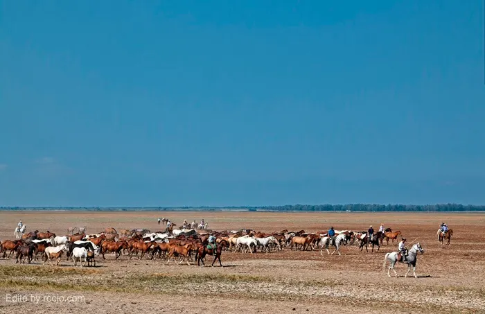 2407-sacayeguas-premio-2010.jpg