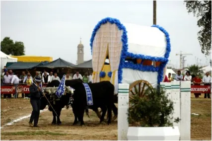 4318--villamanrrique.jpg
