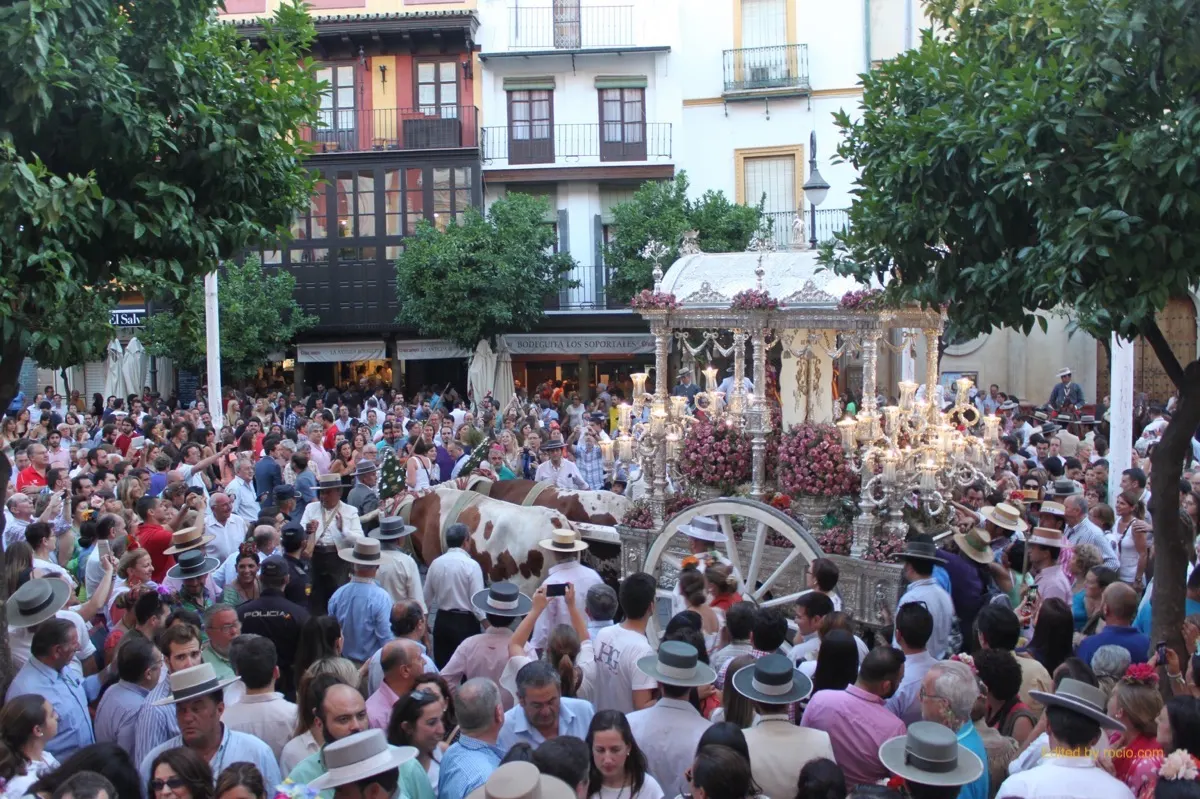 Sevllla Salvador rocio entrada 2015-3033