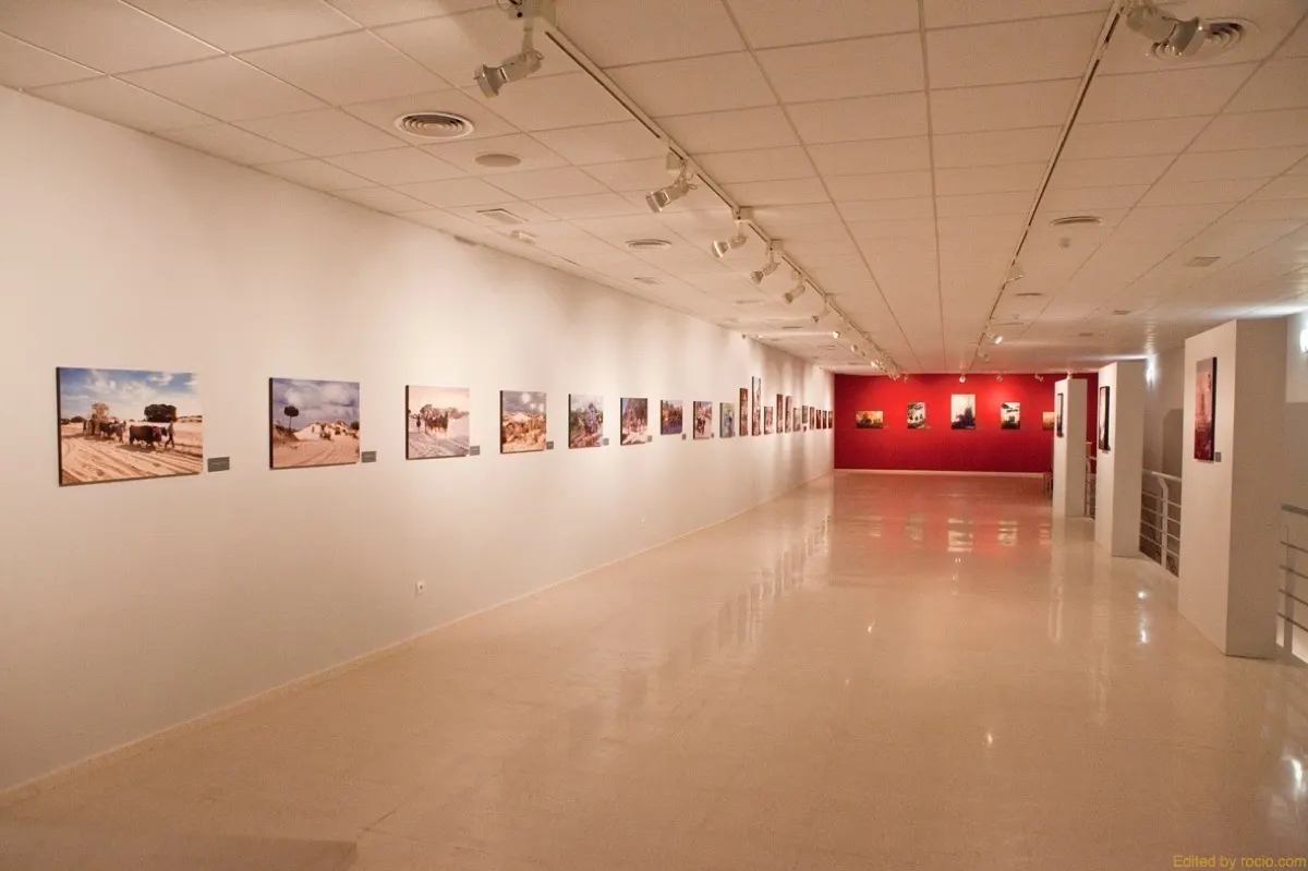 Exposición-Rocio-J.-Luz_Almonte-2-1