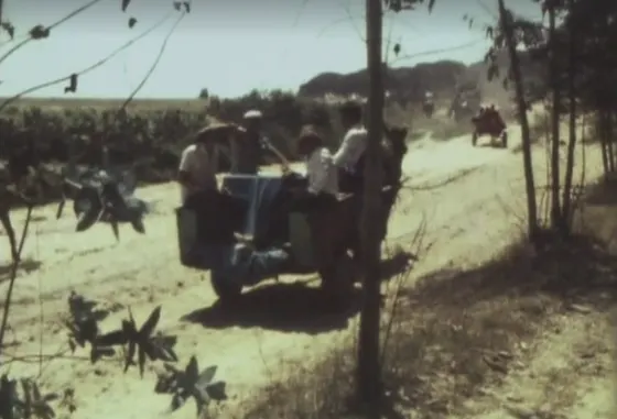 Almonteno dejame - Comelles