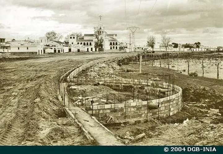 Rocio Paseo marismenos 1983