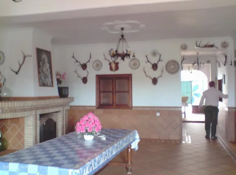 ronda1826-Snap1.jpg
