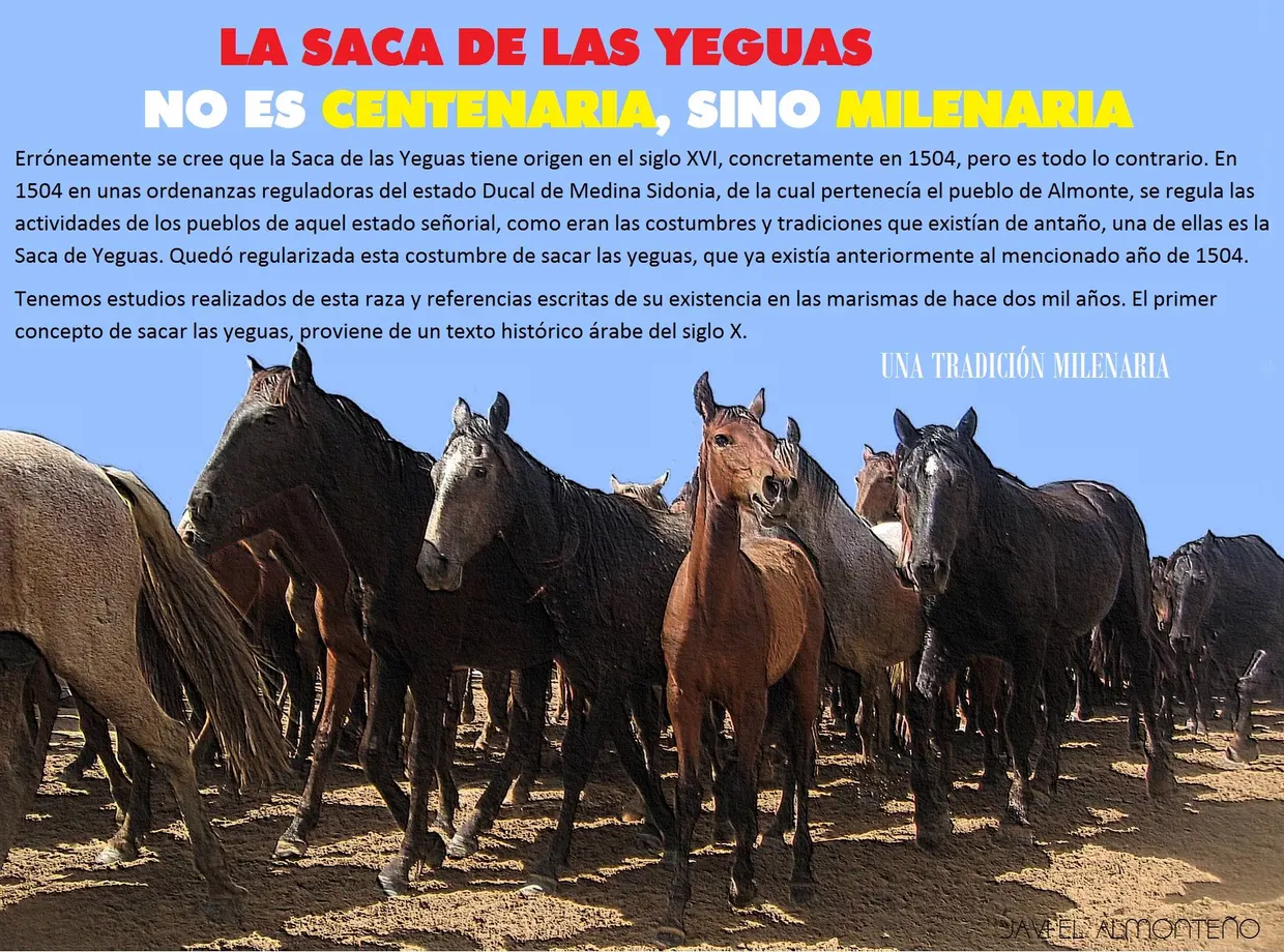 saca de yeguas milenaria