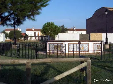 P01.jpg
