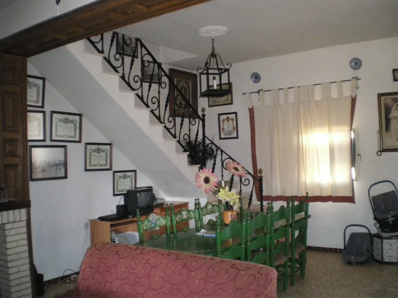 IMGP2981_redimensionar.JPG