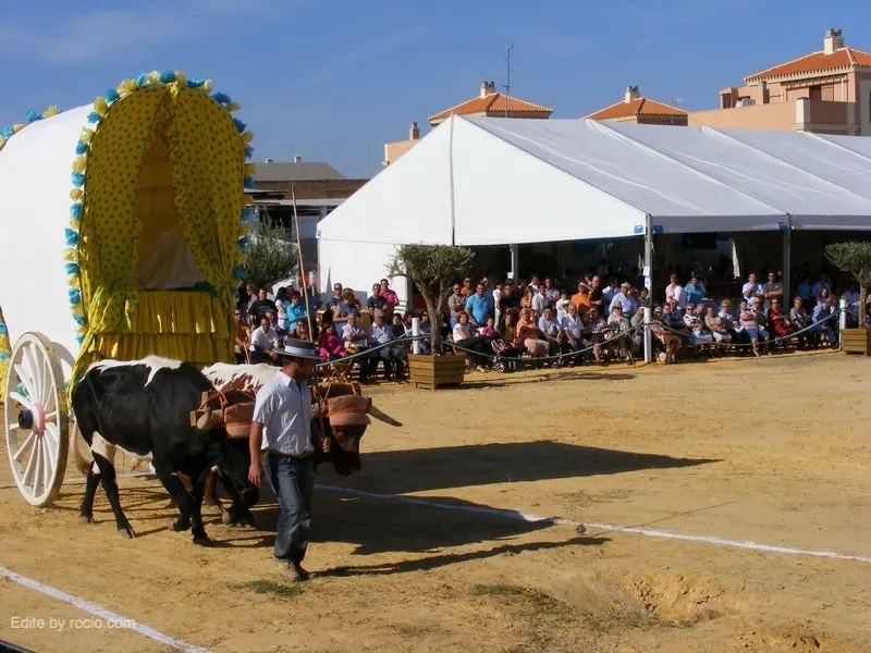 2455-concurso-yuntas-gine.jpg