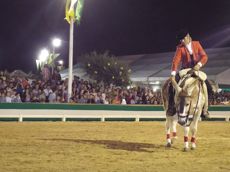 5514-para-en-gines-2014---burro-caramelo.JPG