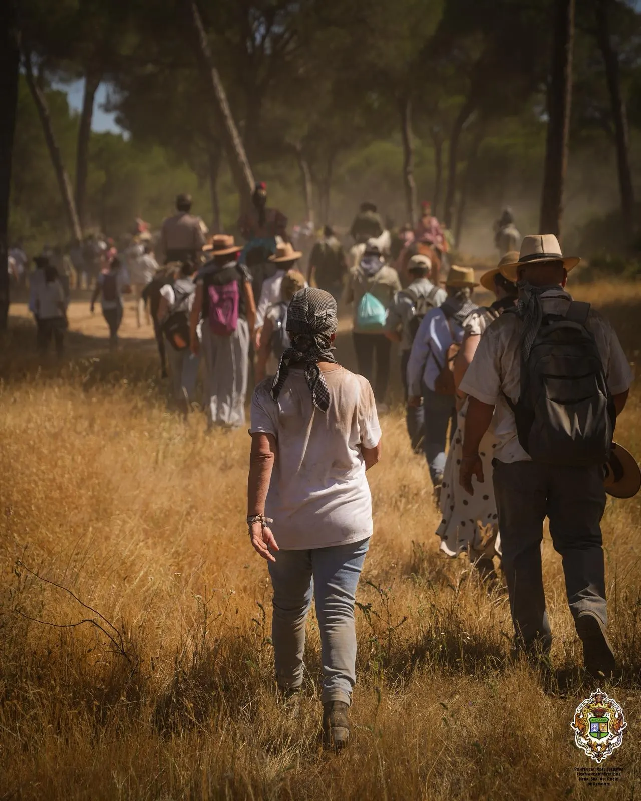 Momentos del Camino Rocio 2026-00052
