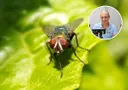mosca daniel gomez kugf r6lnhpyrywxzvhqxfgnvsgi 1200x840 diario abc