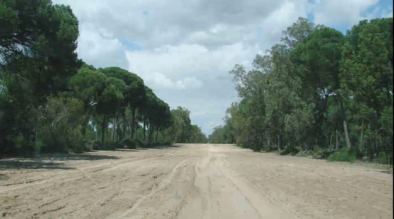 Villamanrrique_9
