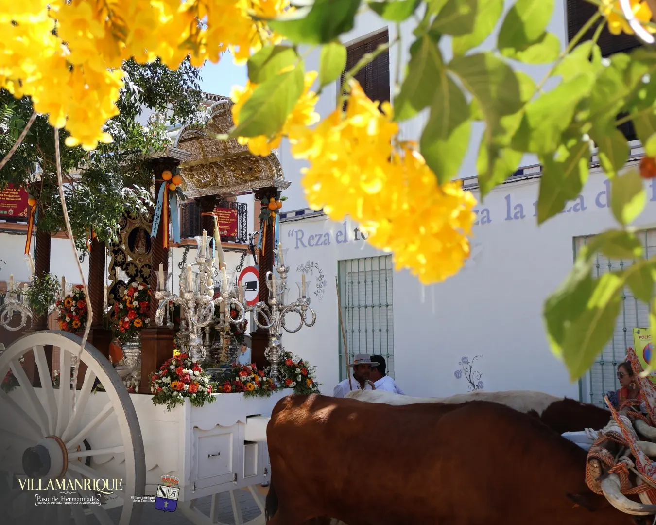 Momentos del Camino Rocio 2026-00067