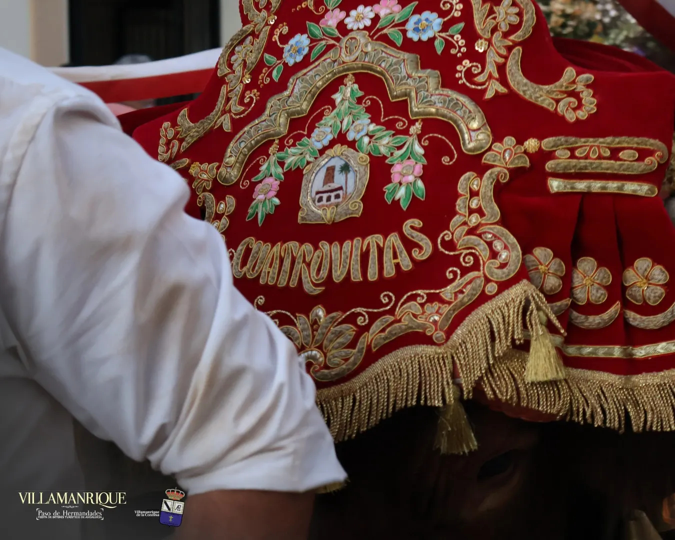 Momentos del Camino Rocio 2026-00164