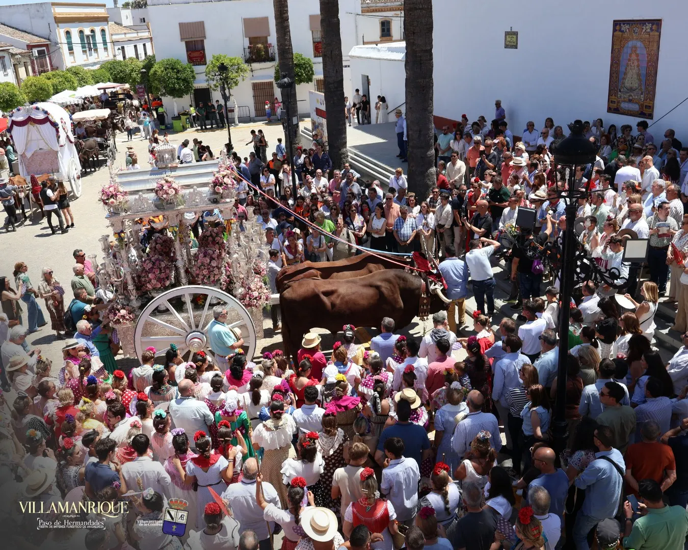 Momentos del Camino Rocio 2026-00178