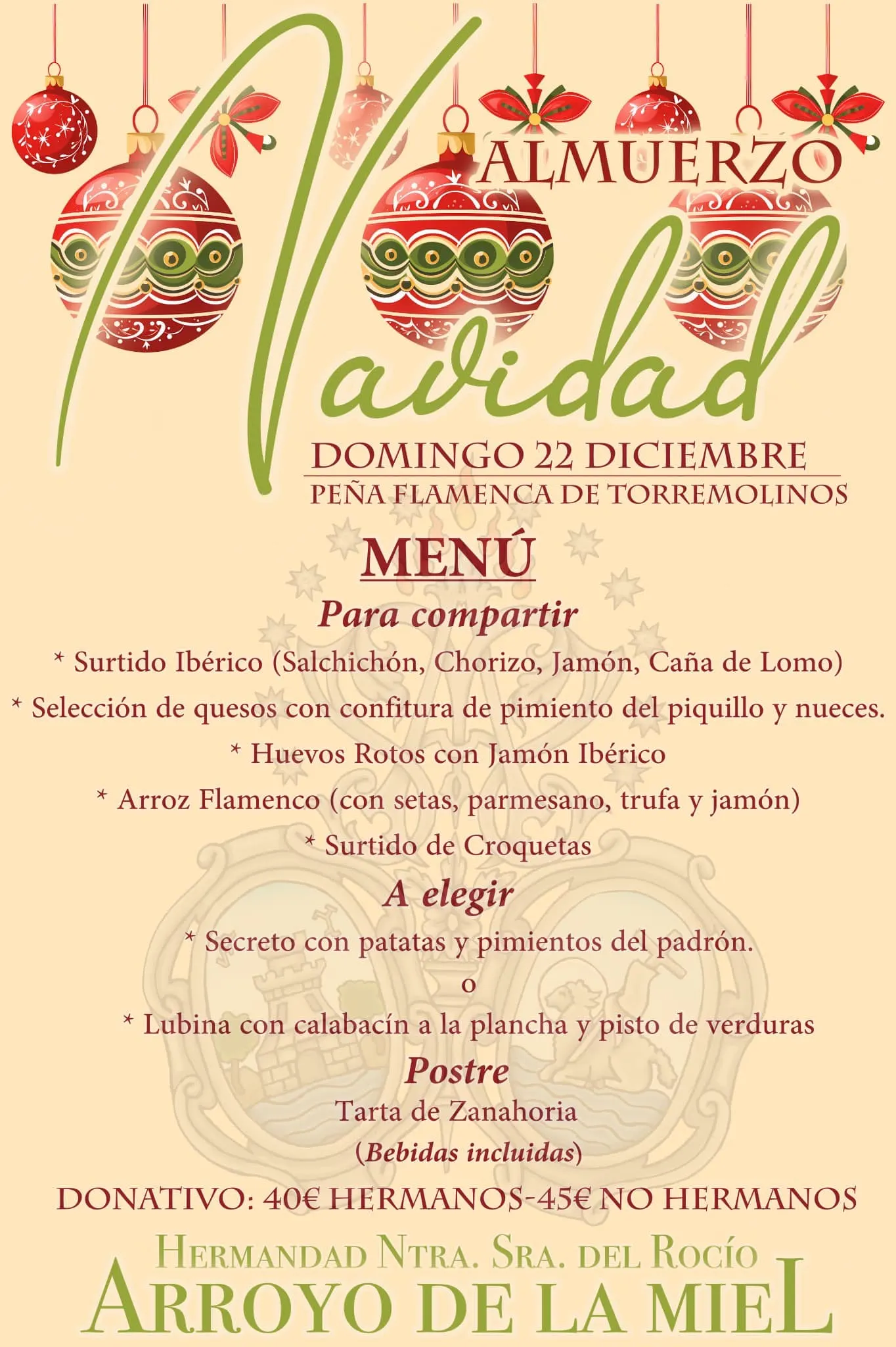 rocio navidad 2024 arroyo de la miel-2