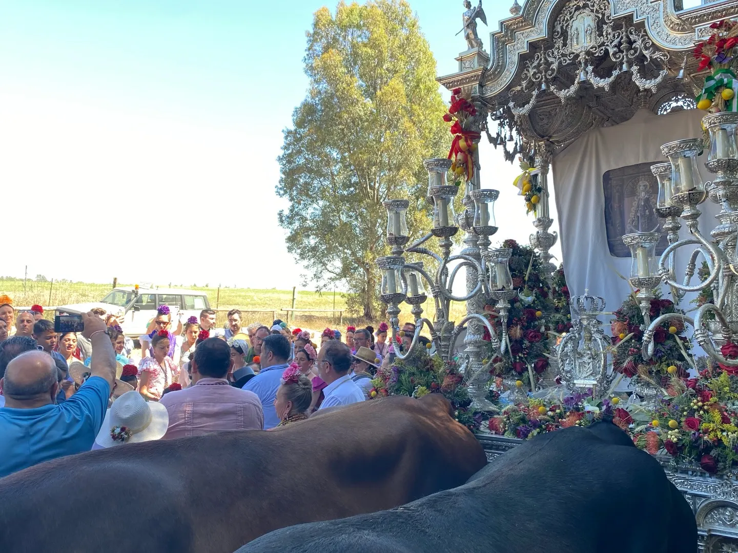 Momentos del Camino Rocio 2026-00062