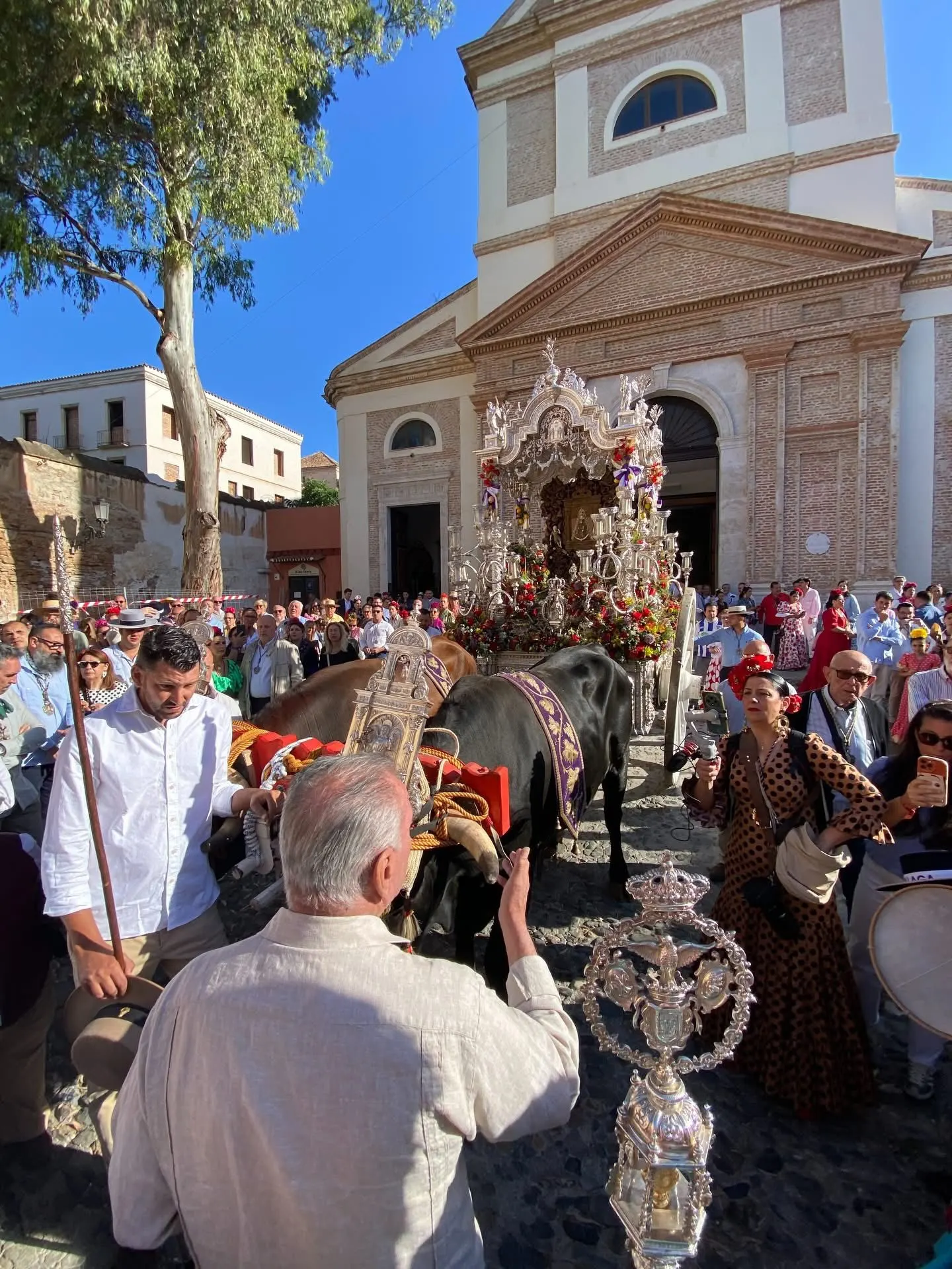 Momentos del Camino Rocio 2026-00011