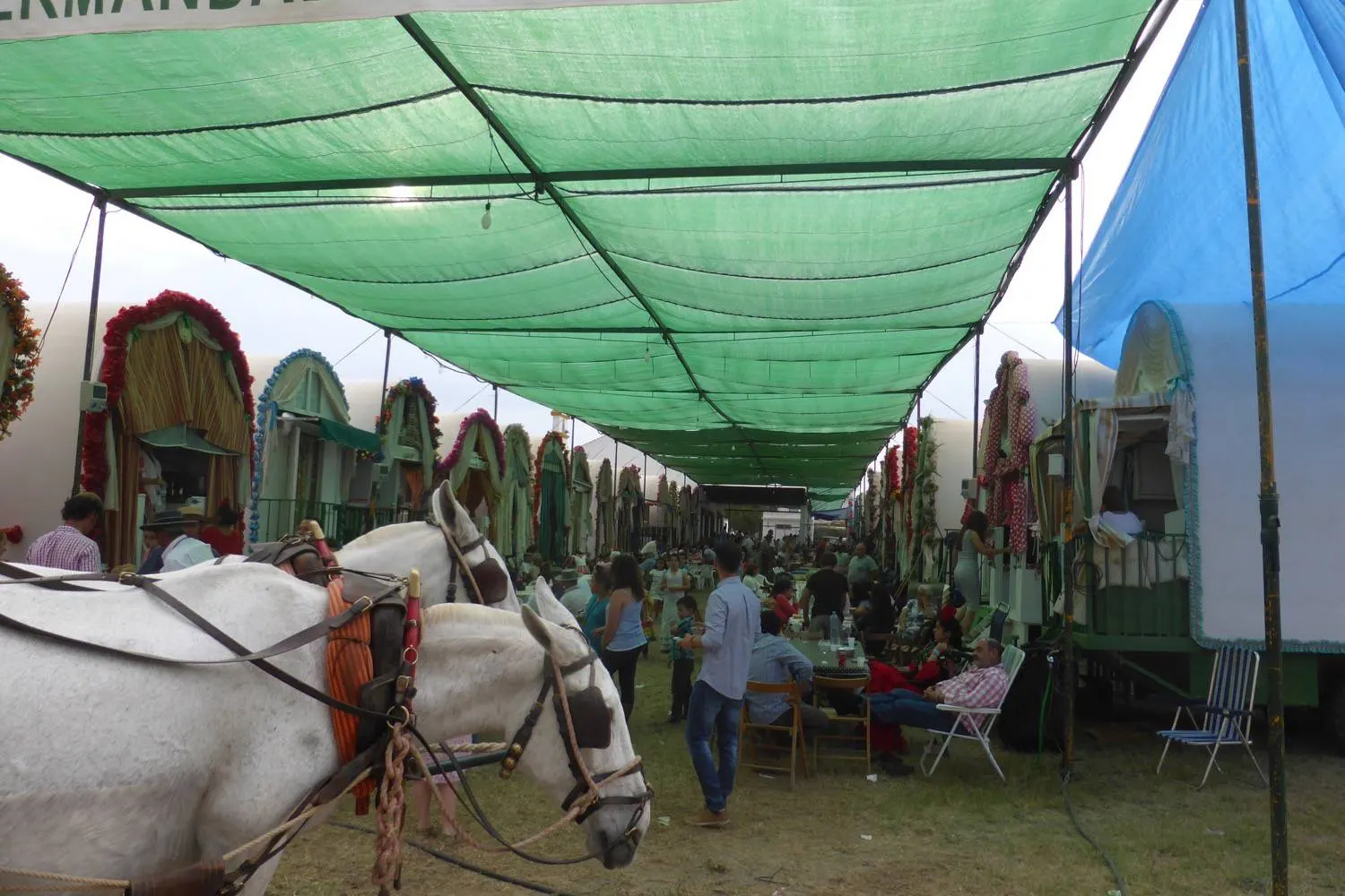 Ronda Rocio 2015- Jose Avilés- 255