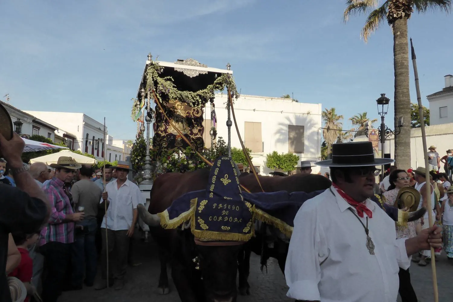 Ronda Rocio 2015- Jose Avilés- 072