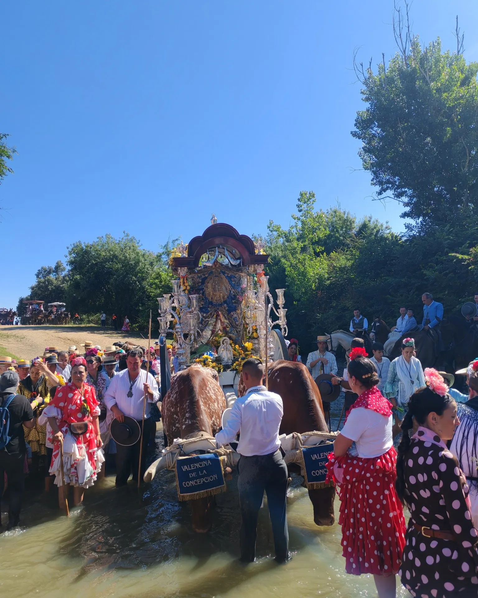 Momentos del Camino Rocio 2026-00111