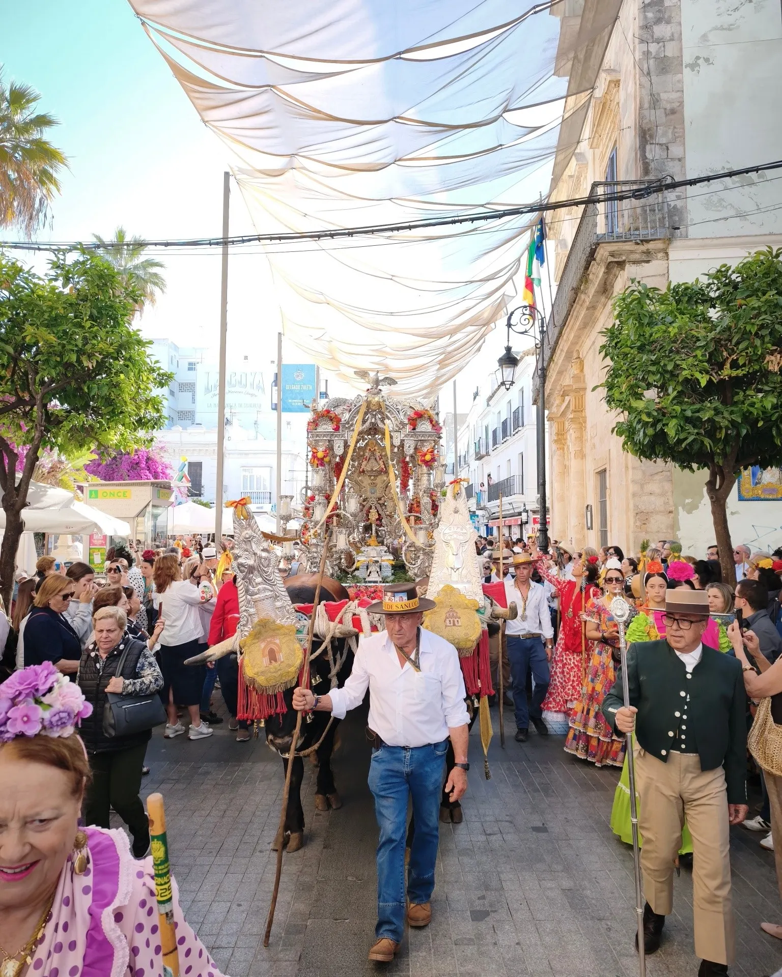 Momentos del Camino Rocio 2026-00131
