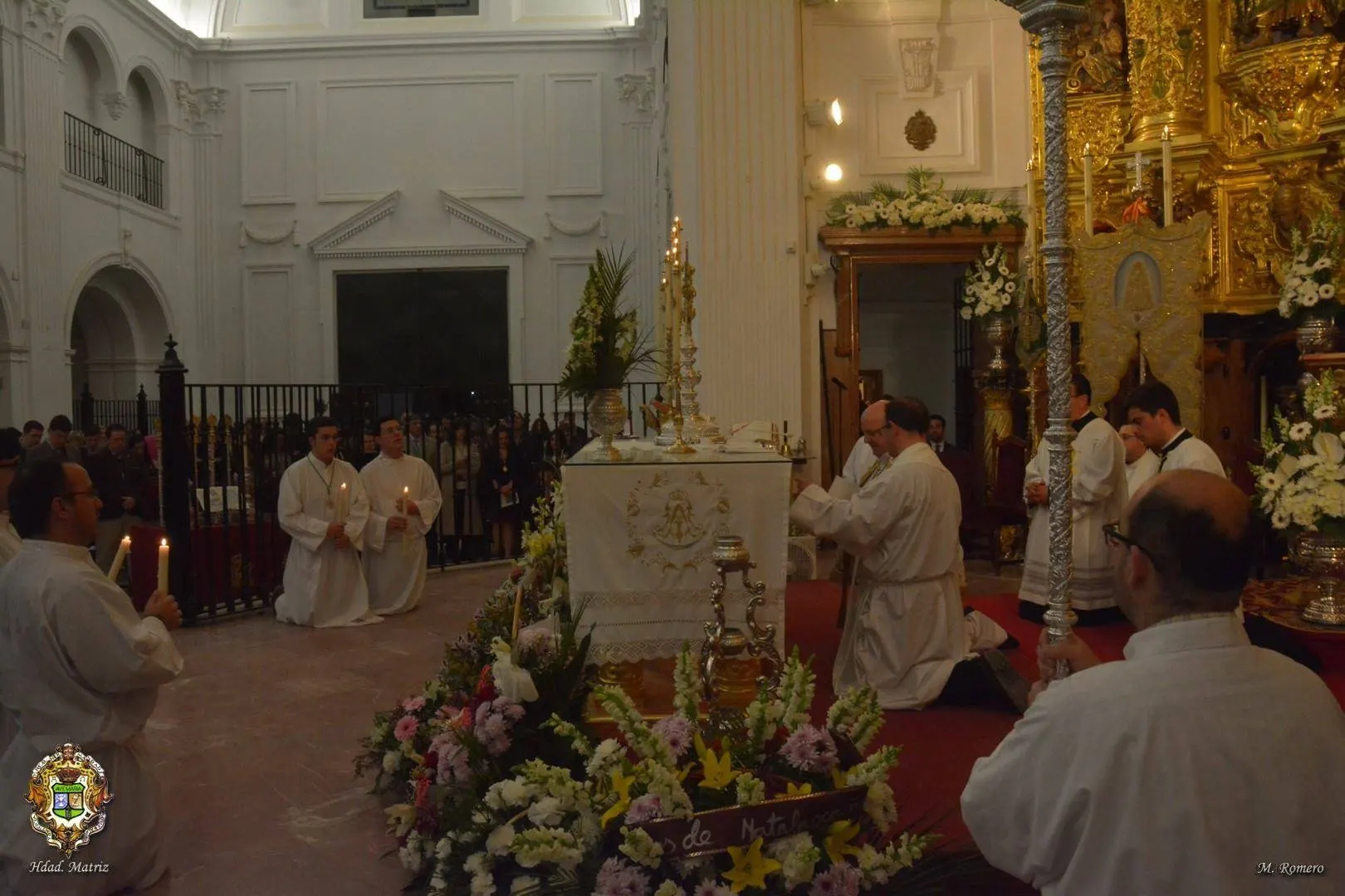 Fiesta luz 2016 -42