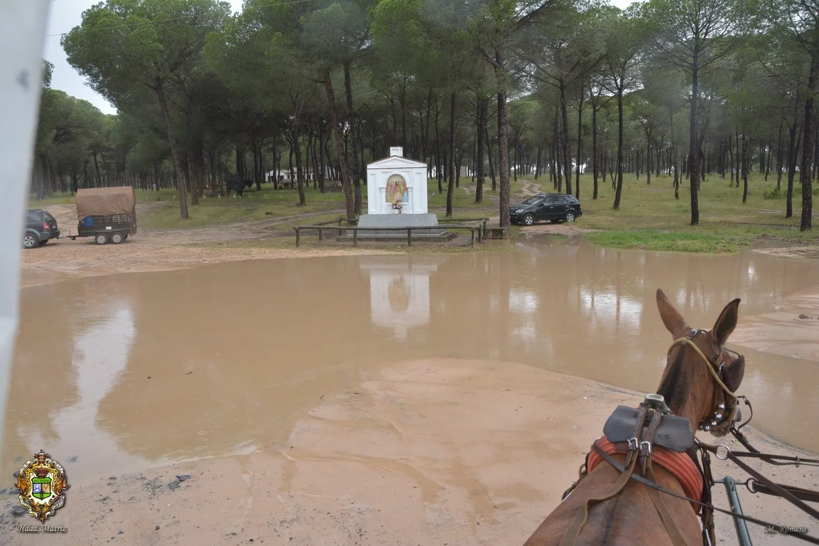 Matriz al rocio 2016-15