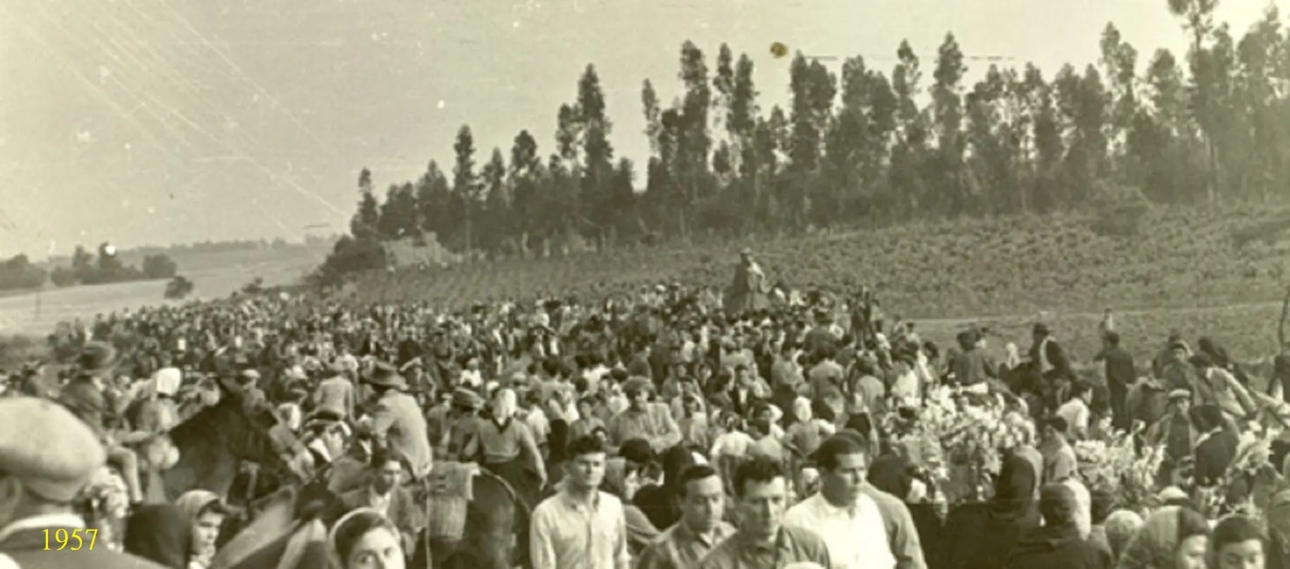 Traslado Rocio (1950-2013)-4