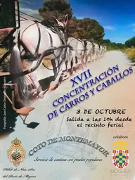Vista lateral de una fila de caballos blancos enganchados a carros que avanzan por un camino rural bajo un cielo azul despejado