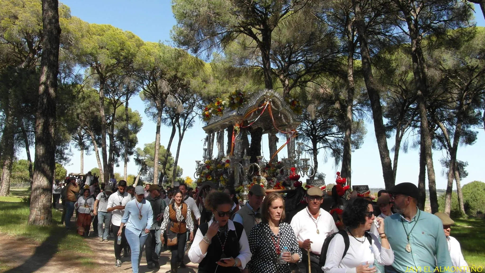 Rociana centenario rocio-10
