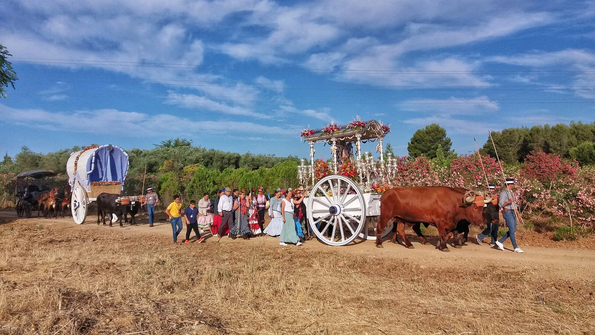 Momentos del Camino al Rocio 2019- Alcala