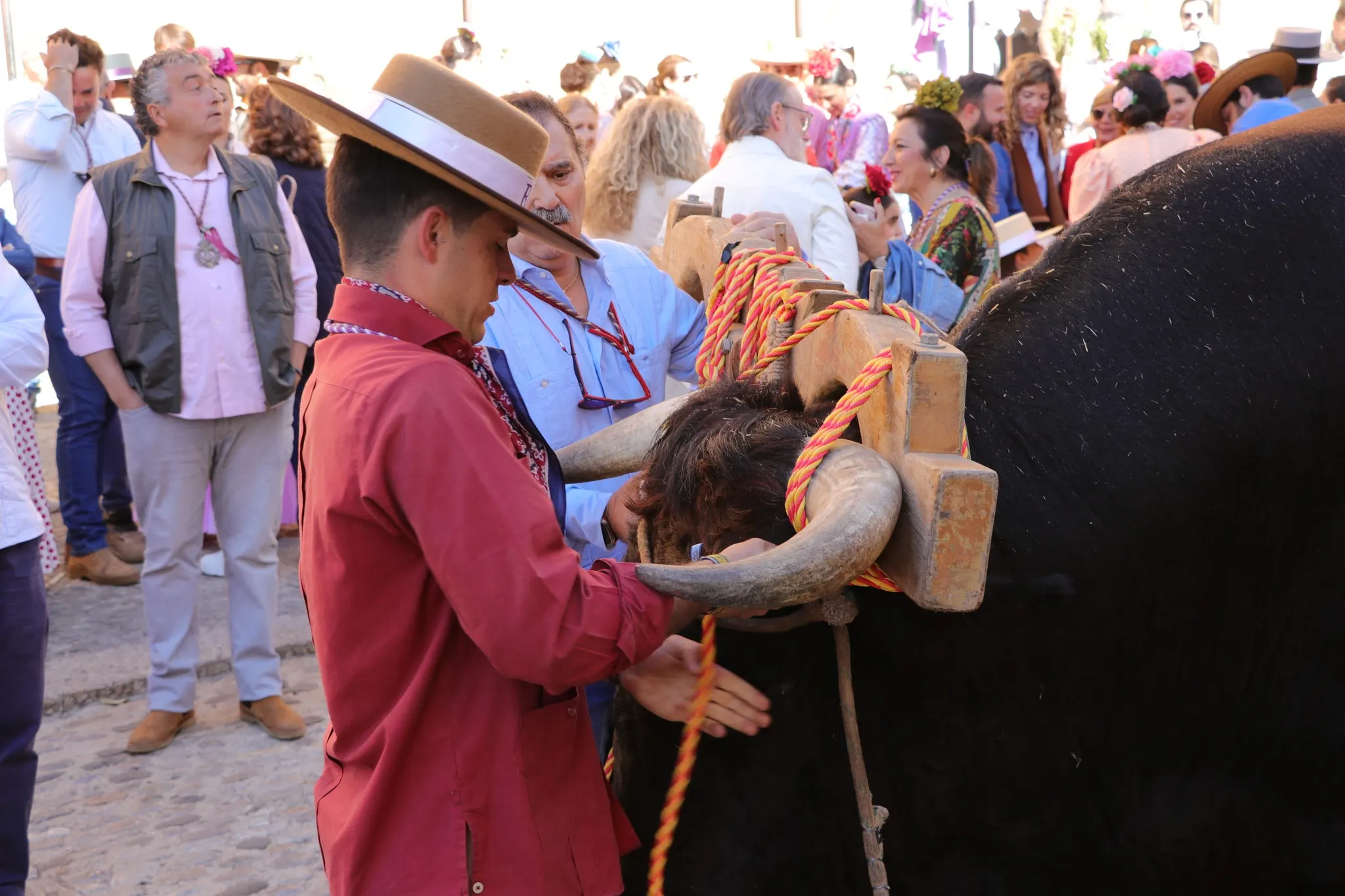 Momentos del Camino Rocio 2026-00115