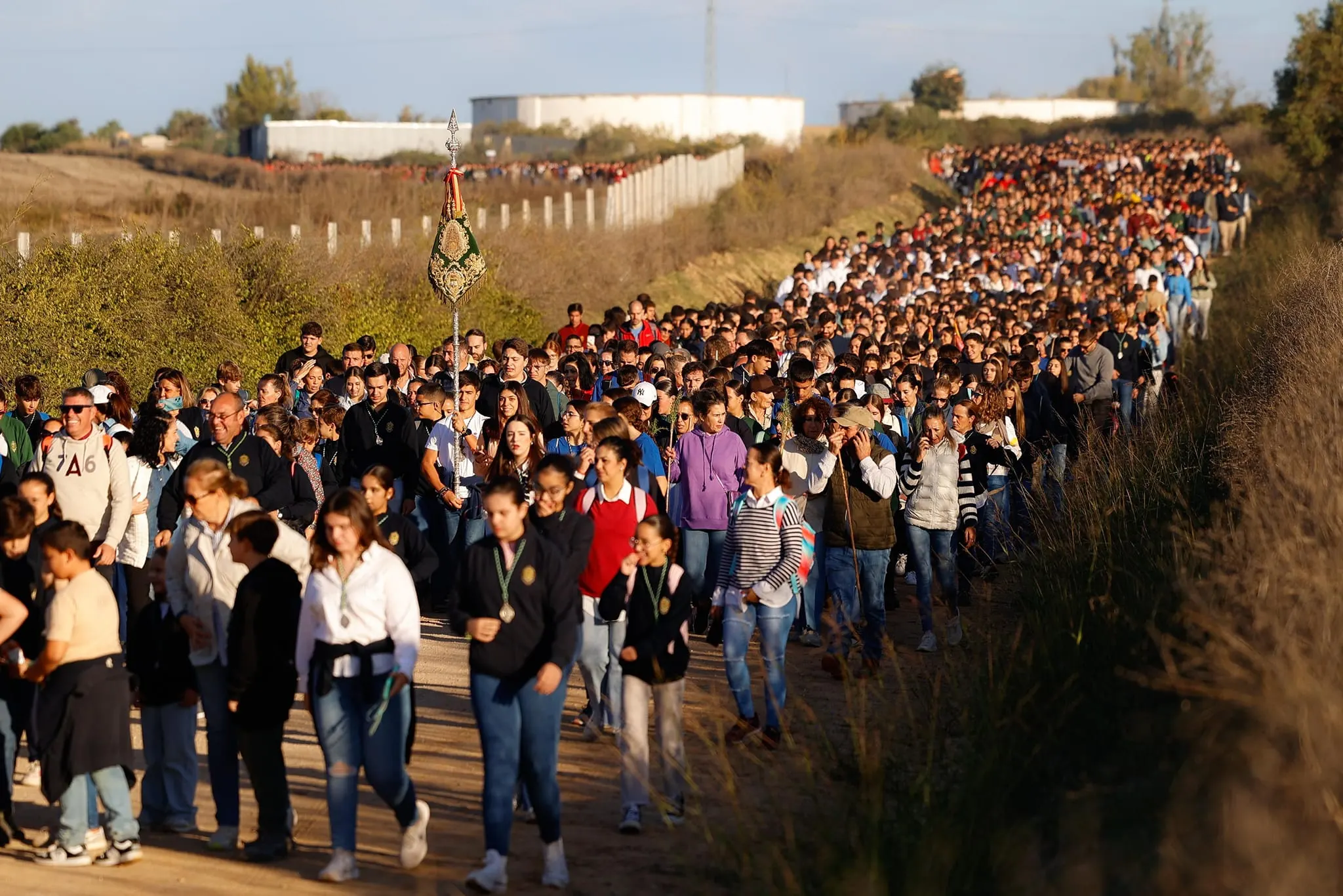 peregrinacion jovenes rocieros 2024-24